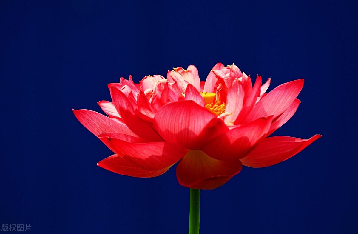 一个人突然变得不愿意和别人交流,一个人变得不想说话沉默寡言