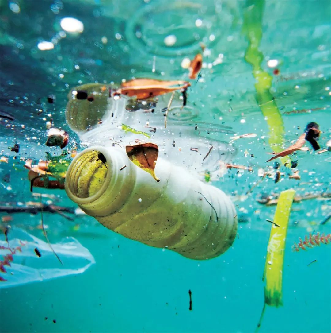 上海看海10大最美海滩浦东,上海海滩景点排名