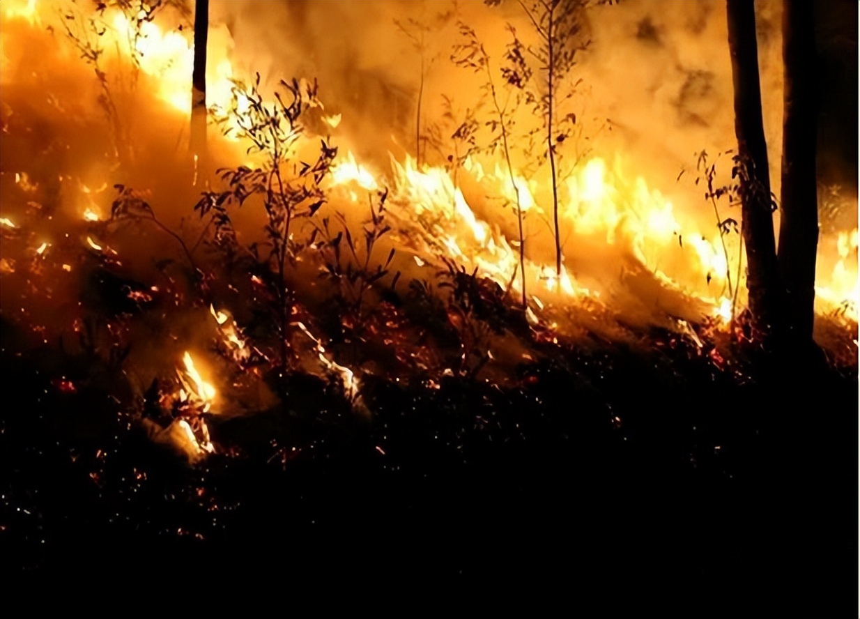 自称能拦截导弹，扑灭大兴安岭山火的气功大师严新，最终结局如何