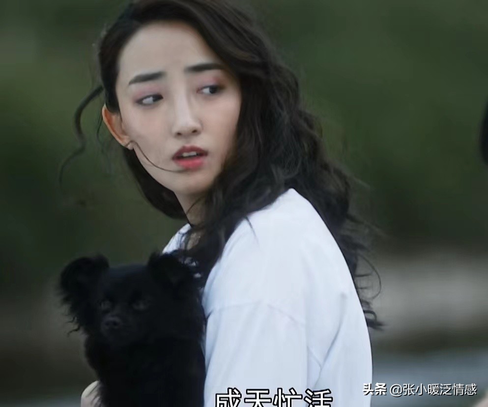 装台顺子和蔡素芬最后好了吗,电视剧中顺子和蔡素芬在一起了吗