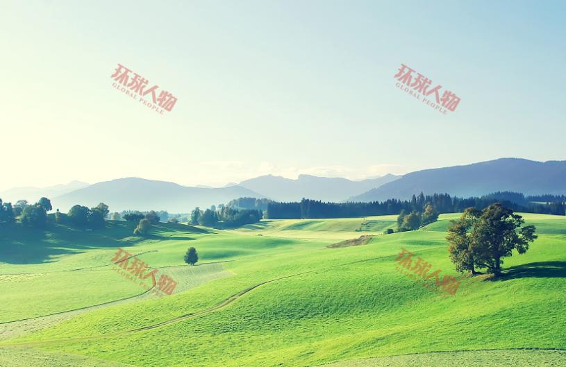 怎么在自己图片上加上水印,微头条图片加水印在哪里设置