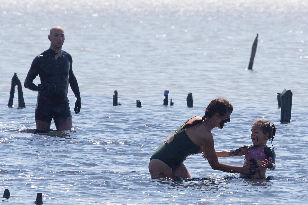 生命的本质特征,生命的本质是能量