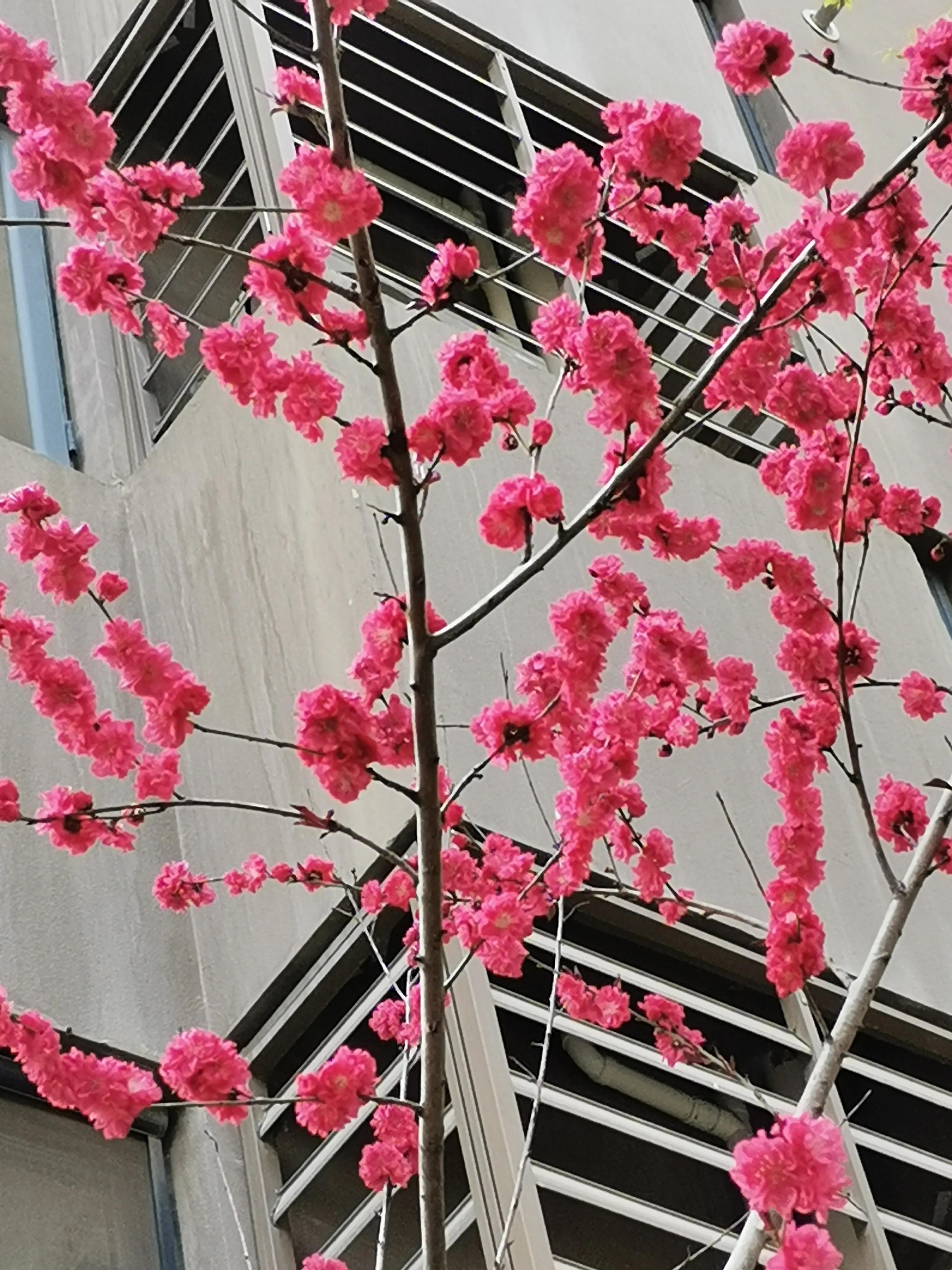 什么叫幸福什么叫真爱,什么叫幸福豫剧原唱