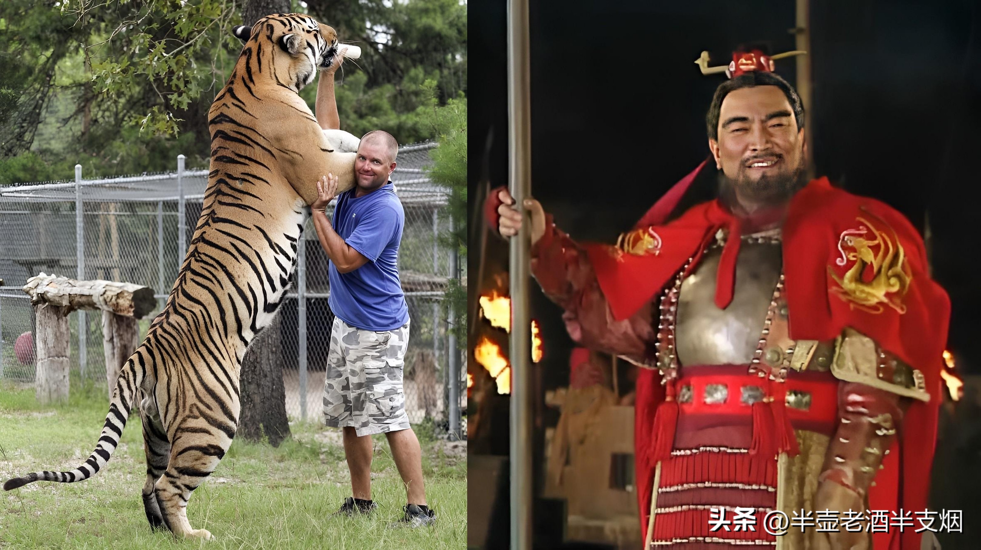 三国所有人物的五虎上将,三国五虎大将打虎事迹