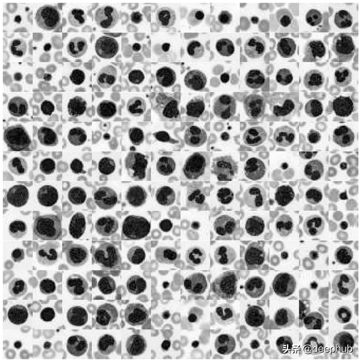 特殊图像的色彩特征工程：非自然图像的颜色编码