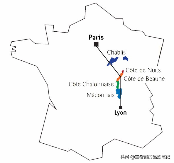 夏布利chablis葡萄酒,莫斯卡托桃红葡萄酒餐酒搭配
