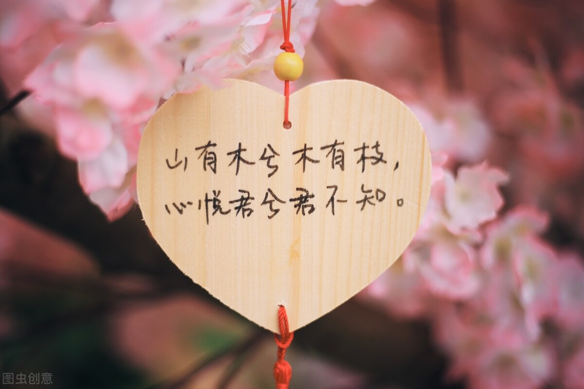 昨晚我又梦见你,今夜我又梦见你了