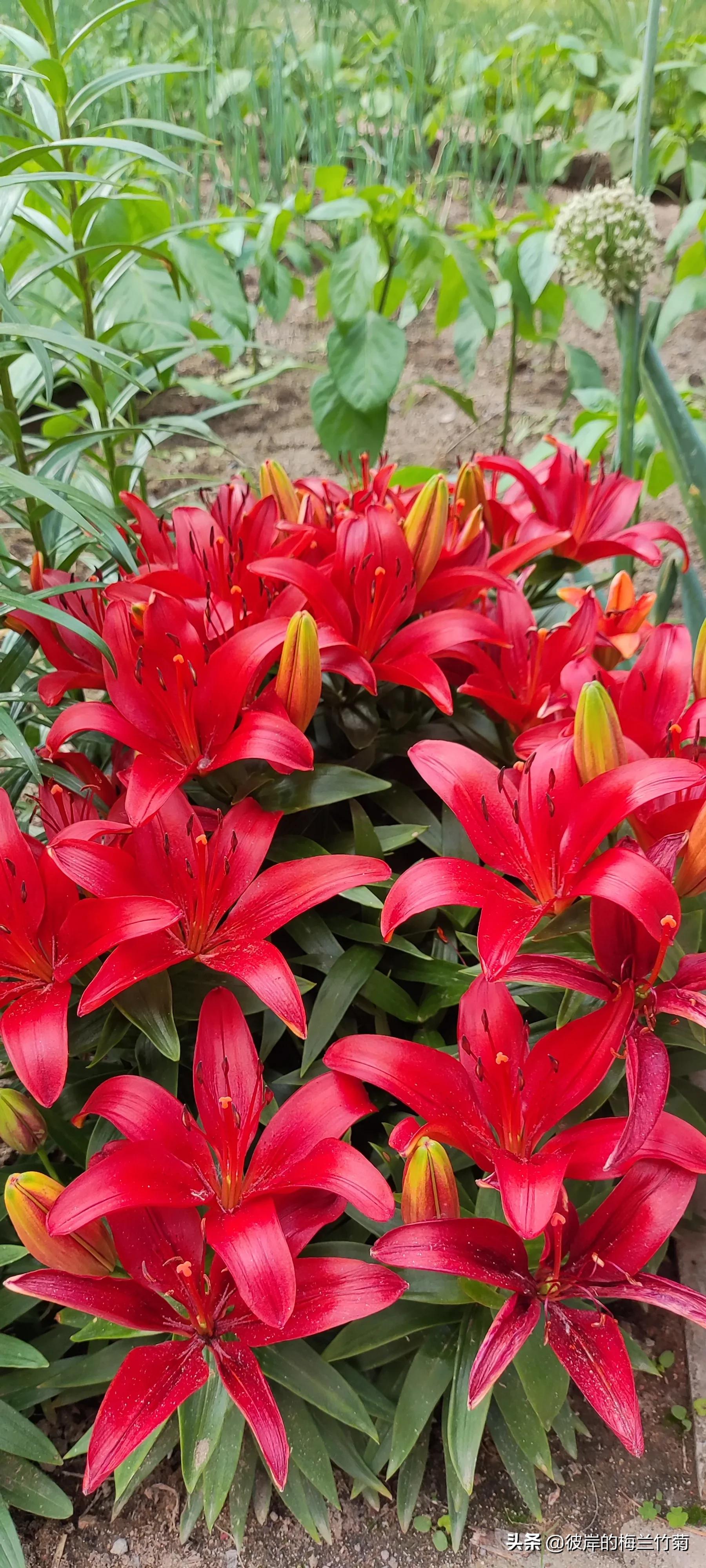 分享一些干货是什么意思,分享干货动作