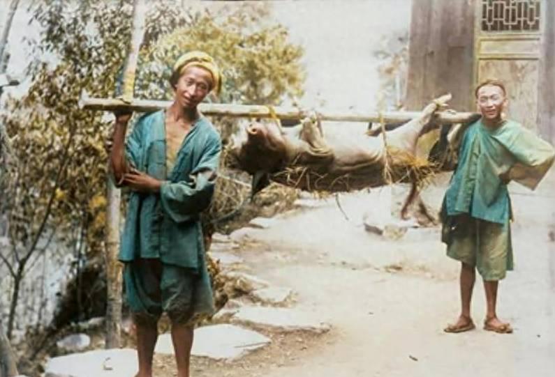 绾崇补寰峰浗灞犳潃鐘瑰お濂充汉,绾崇补灞犳潃鐘瑰お濡囧コ绾疄