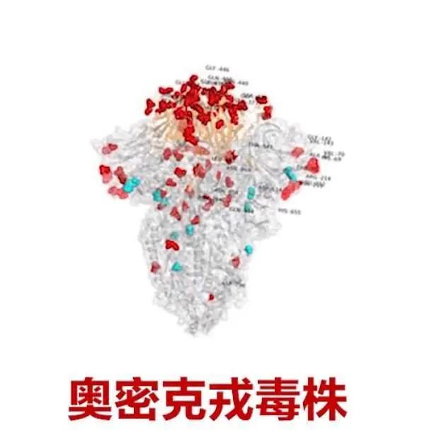 阳不阳有必要去做核酸吗,有阳了的症状必须去做核酸吗