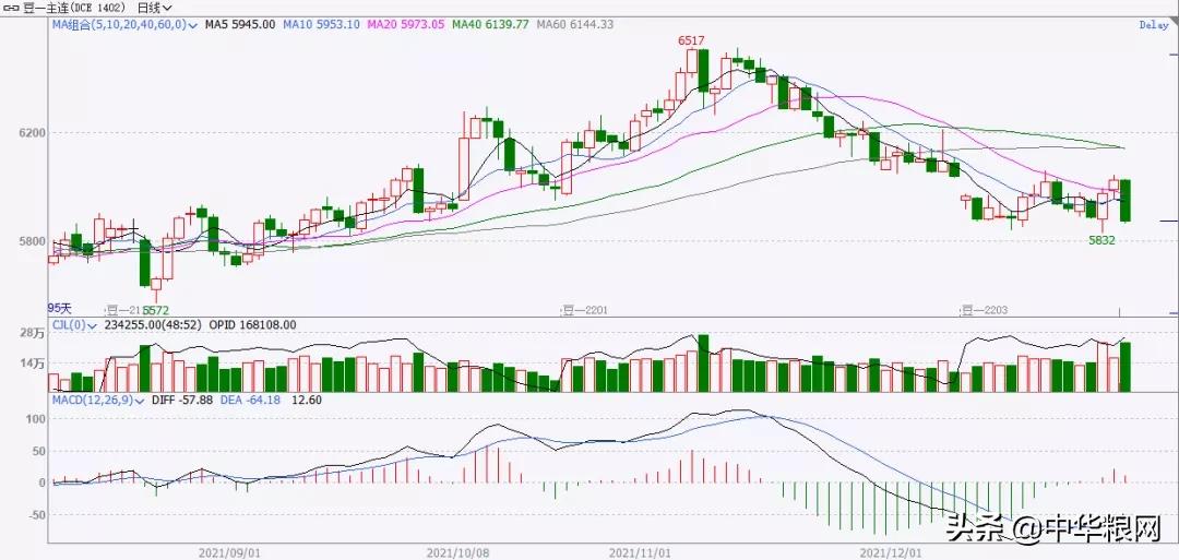 大豆下周走势如何,大豆预计震荡上涨