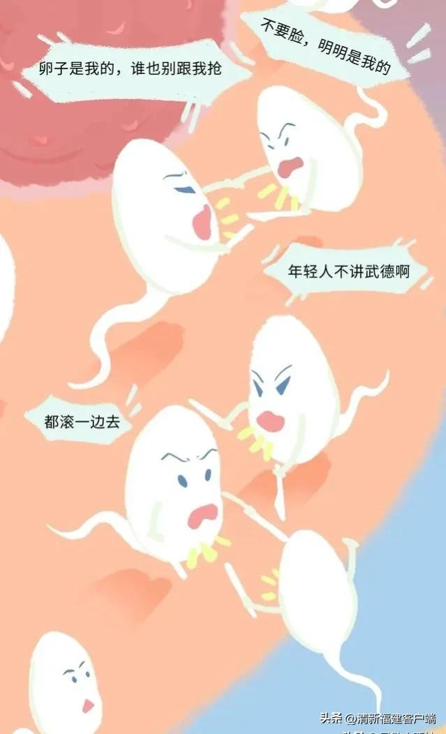 漫画专题丨这就是精子进入女性体内的全过程,太神奇了