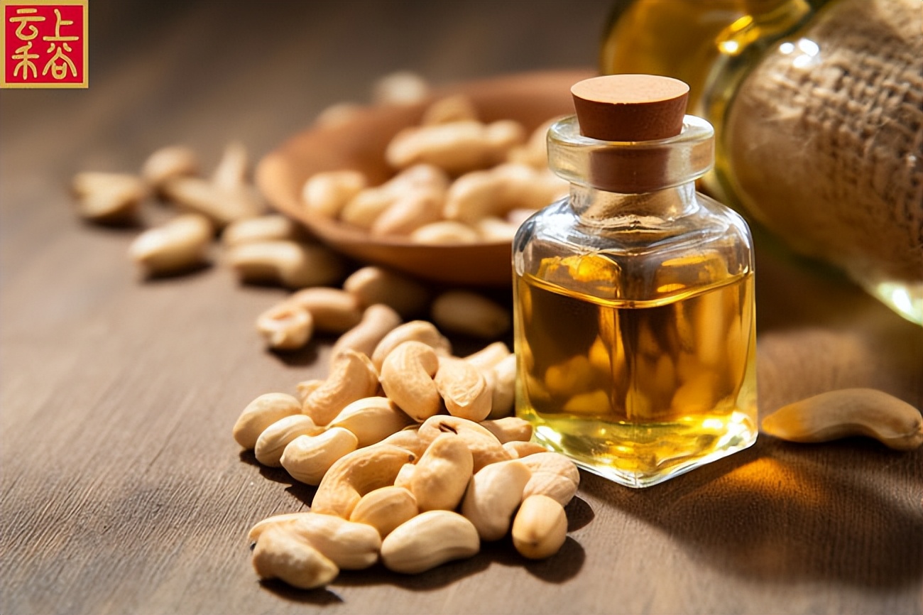 云上禾谷：市面上有这么多种食用油，哪种才是更健康的选择？