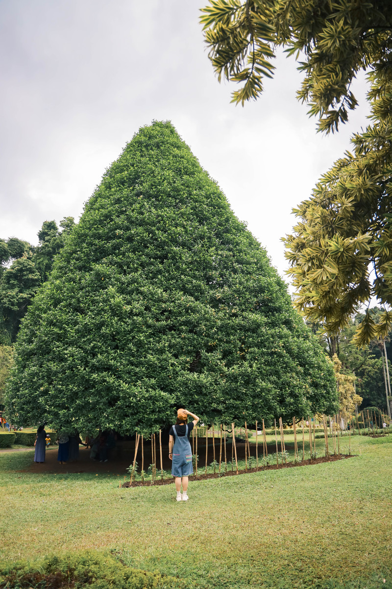 斯里兰卡旅游攻略必去景点,斯里兰卡最佳旅游攻略