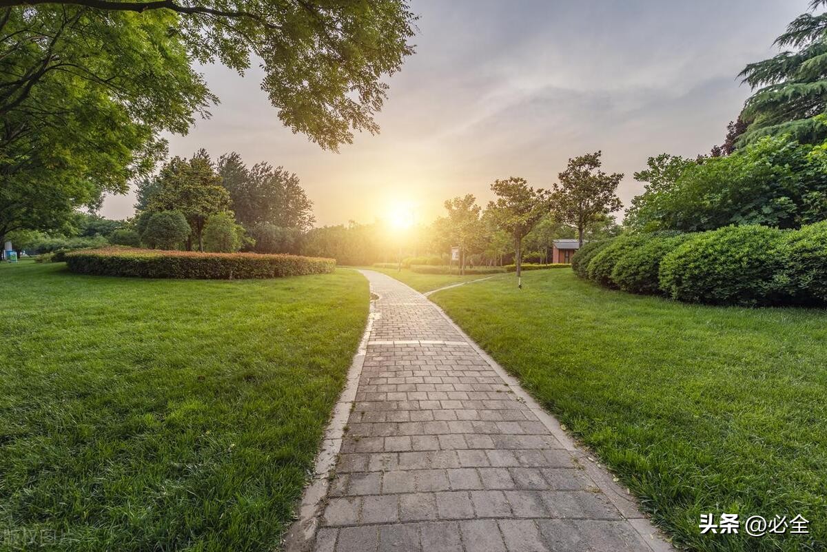 园林草坪选择,草坪园林景观的介绍