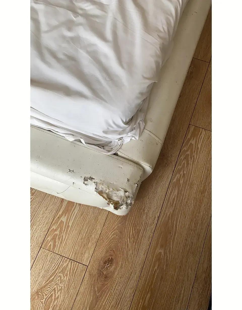 旅行去哪儿小程序,旅行去哪儿最便宜