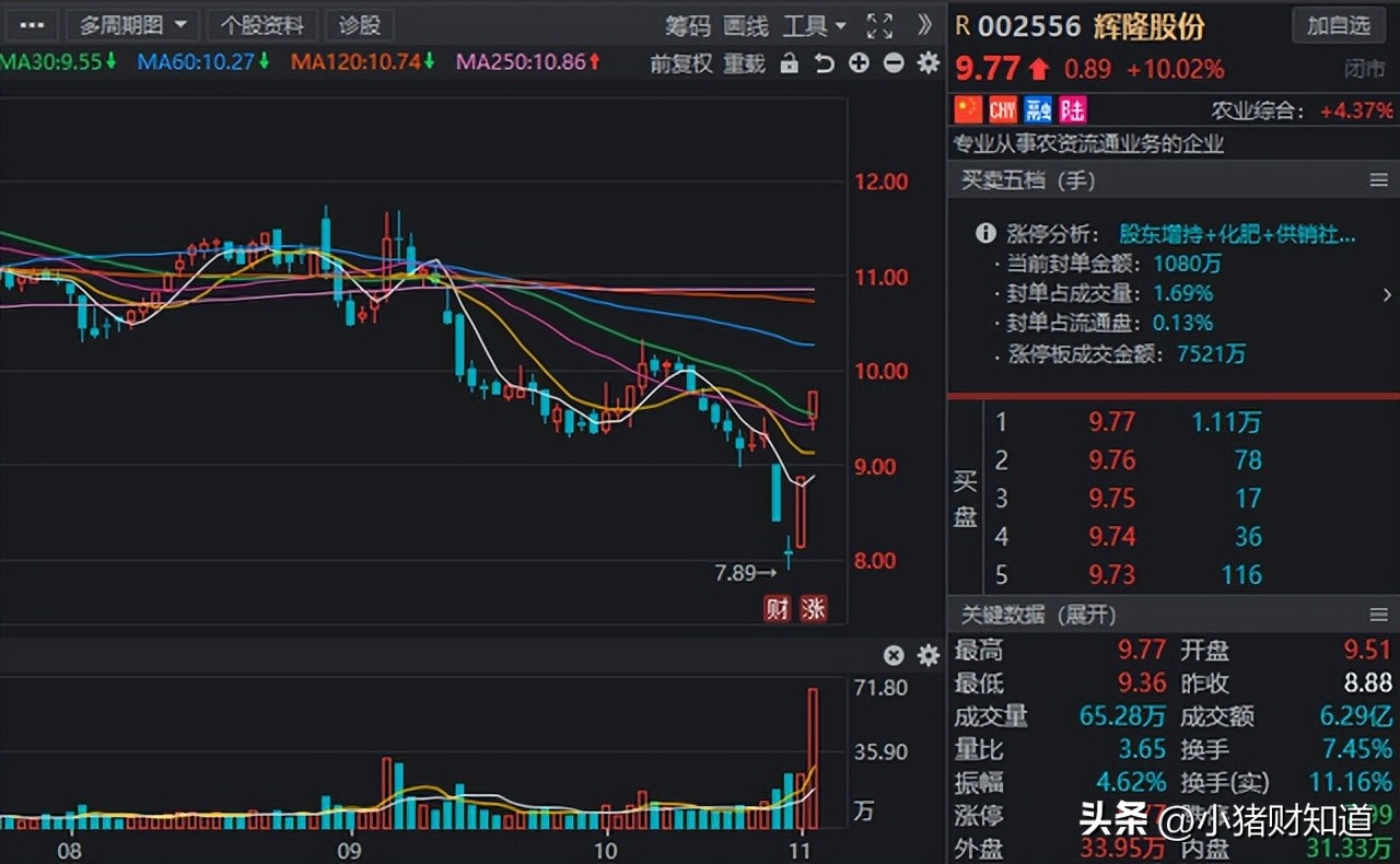 供销概念股一览表,蔚然成风组合介绍