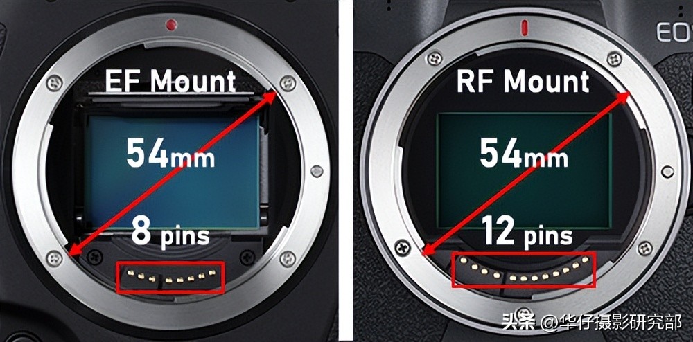 佳能镜头EF和RF有什么区别,佳能efs机身能用ef镜头吗