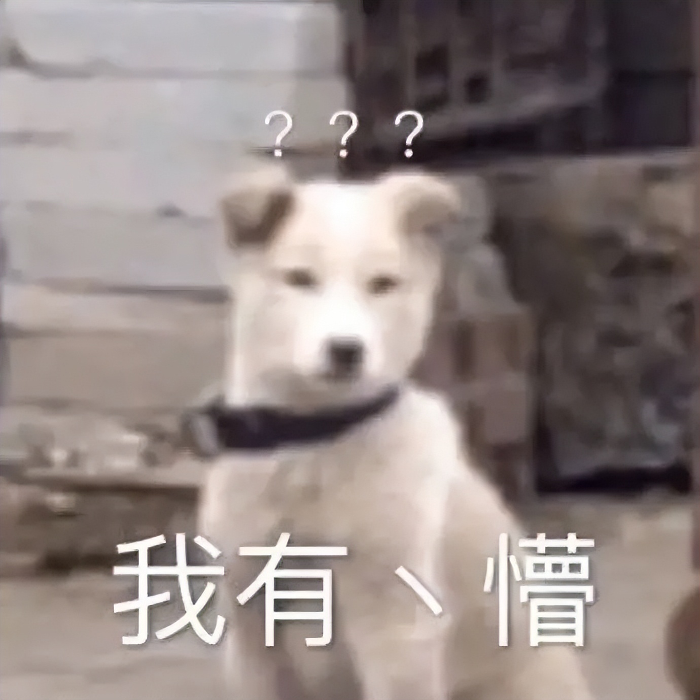 卡塔尔不工作有钱吗,卡塔尔有钱吗