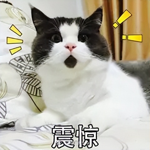 刘强东卸任京东说明什么,京东刘强东要卸任了吗