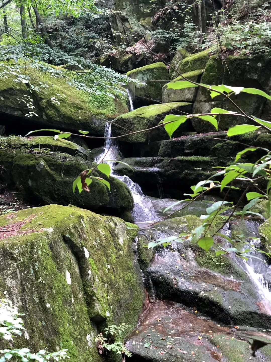 不会吧!不会吧!不会还有人不知道宝天曼吧?