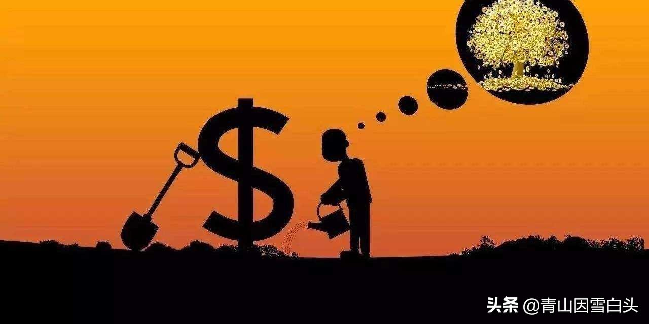 马缨花种子多少钱一斤,马缨杜鹃价值