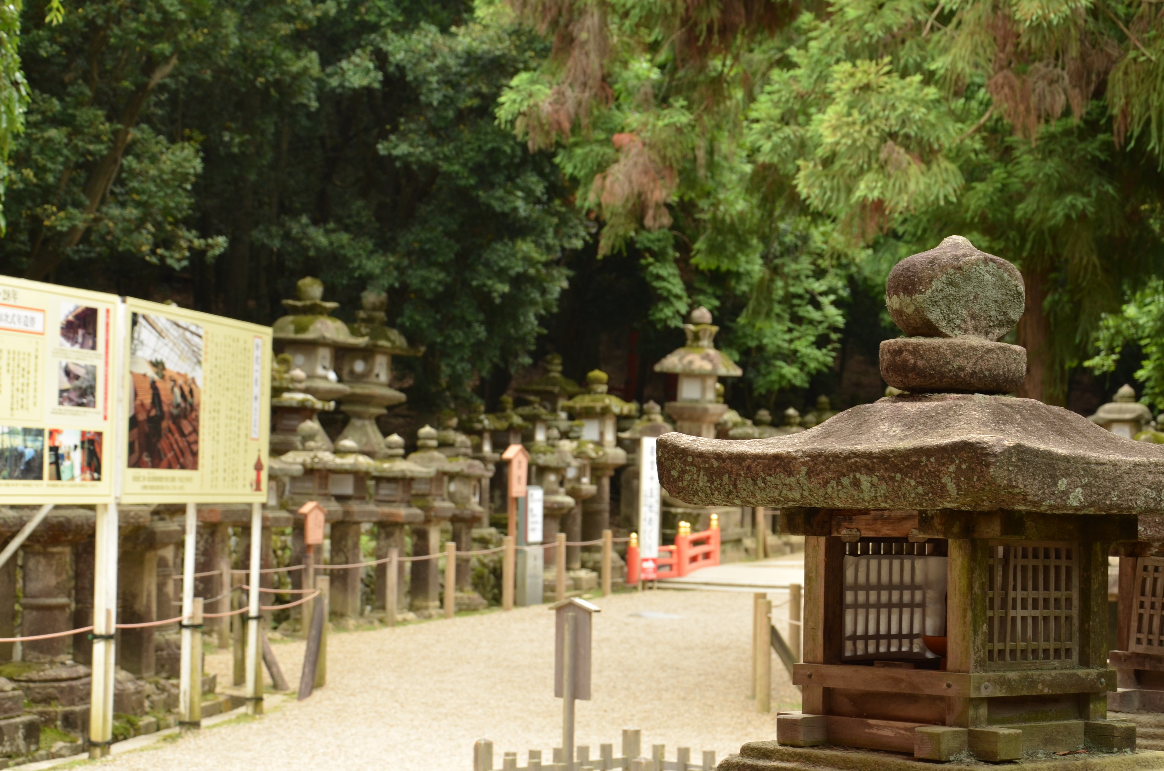 奈良东大寺导游讲解,奈良兴福寺游记