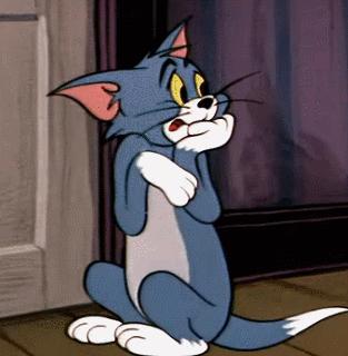 养猫不能放蟑螂药怎么办,养猫不能用的驱蚊方法