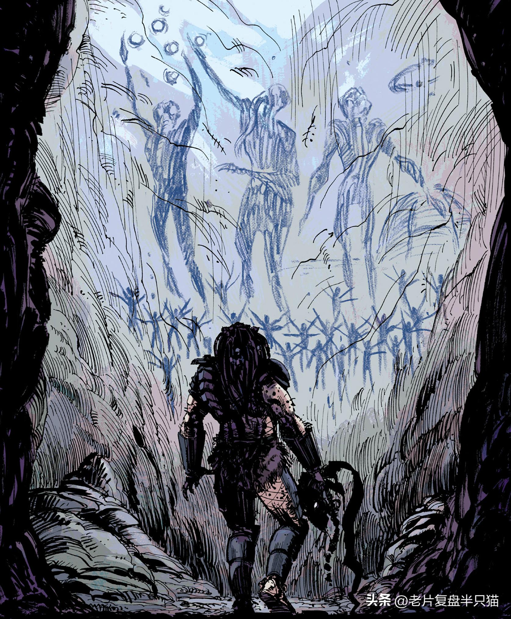 铁血战士铁血异形有多强,铁血战士铁血异形顺序