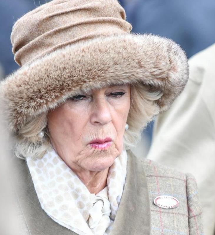 安妮公主的屈膝礼,安妮公主向戴安娜行屈膝礼