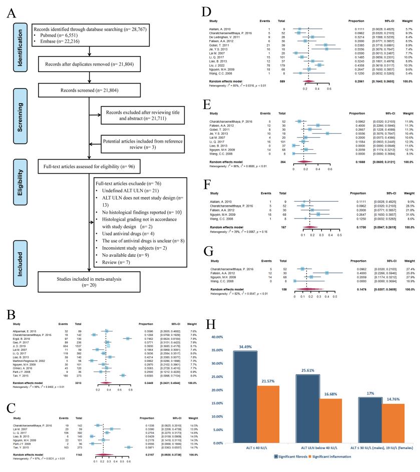 降低ALT阈值有利于降低ALT正常慢乙肝患者中存在显著肝组织学进展