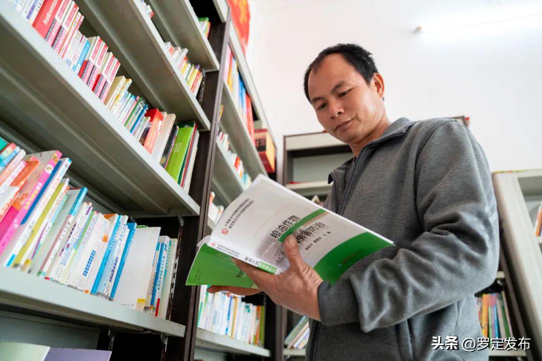 47个家庭农场为乡村振兴注入活力,家庭农场如何做大做强