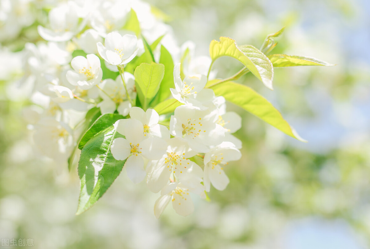 坚持很难却是最有效,坚持真的很可怕