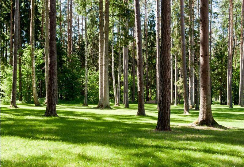 农林专业冷门吗,农林类大学双一流