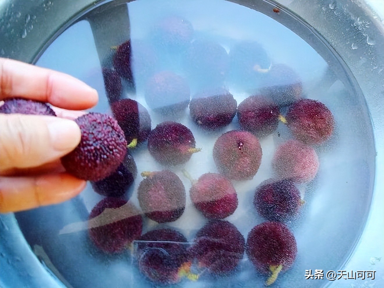 杨梅泡酒杨梅要怎么清洗,泡杨梅酒杨梅要怎么清洗