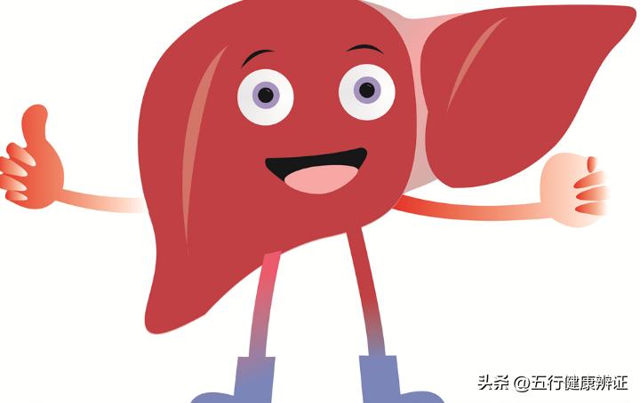 肺为肾之母中医解析,肺为五脏之阳脾为五脾之阴