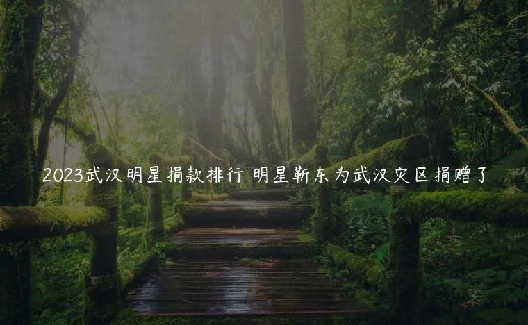 2020武汉明星捐款明细,明星捐款支援武汉捐款表