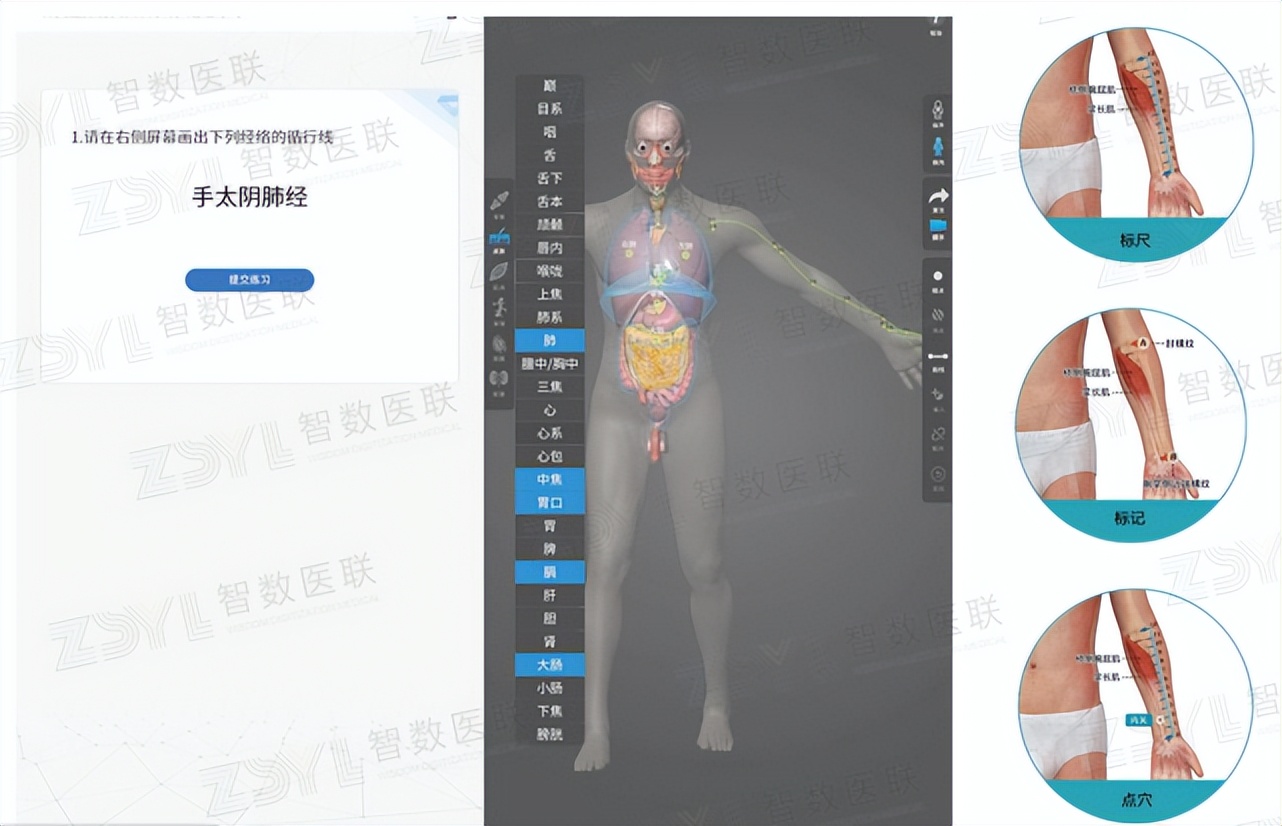 针灸学习培训机器人,智能针灸教学模型