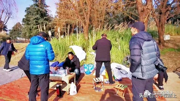 冬泳爱好者低温中畅游泳,冬泳爱好者激情畅游越冷越泳