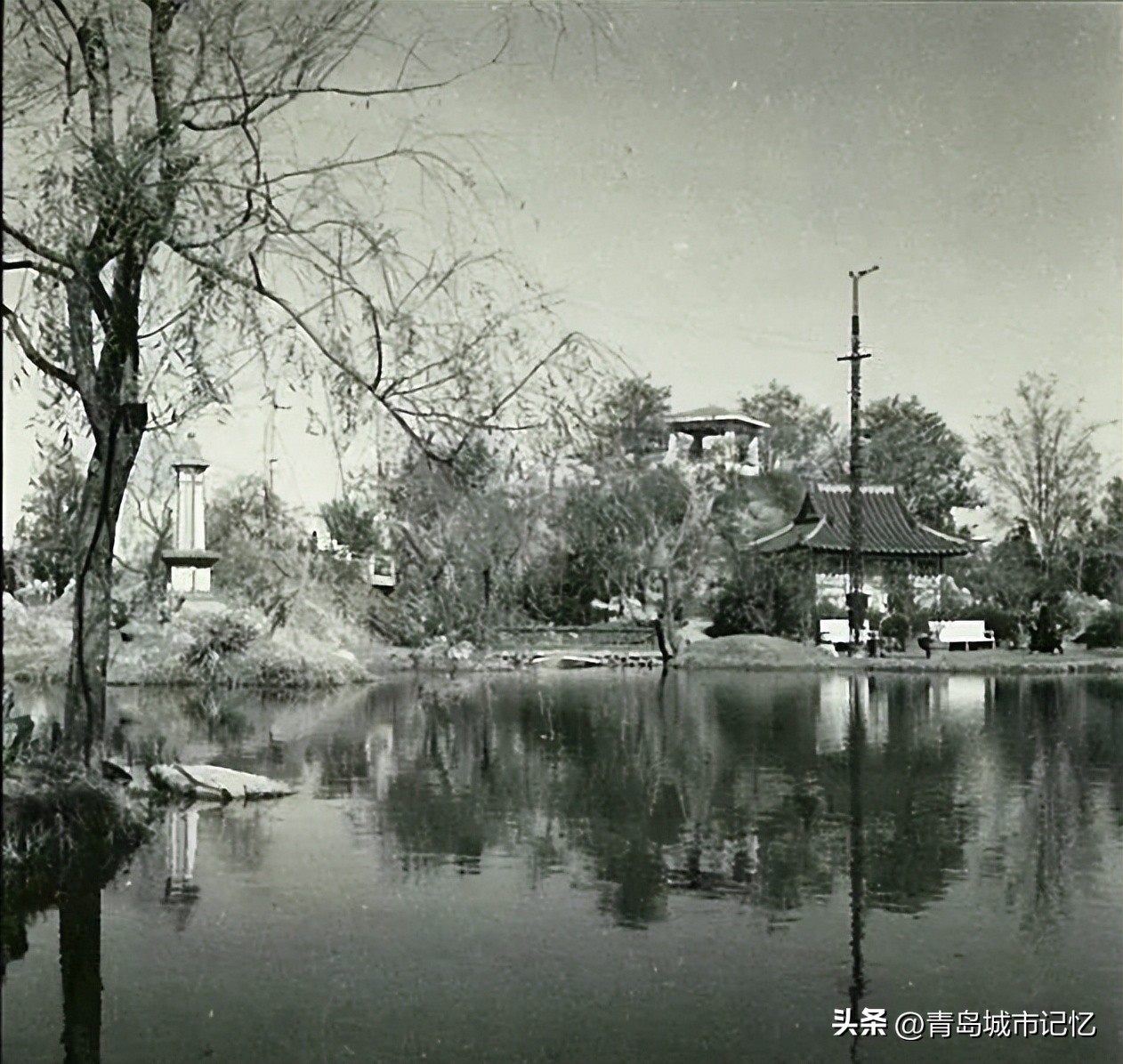 青岛四方公园,值得一去的青岛博物馆