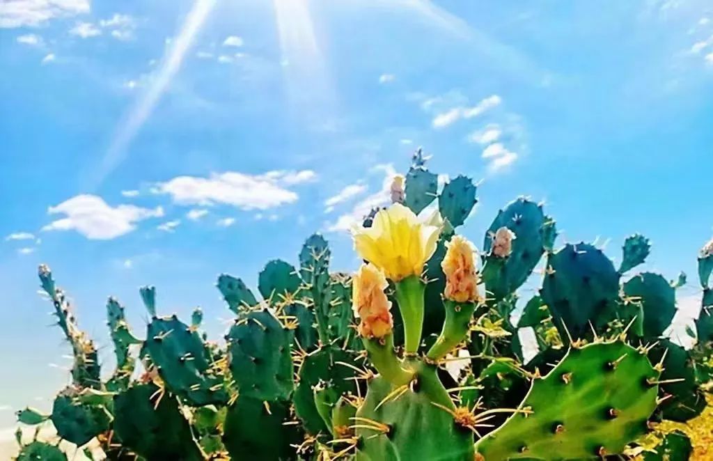 临海而居，独享静谧舒适的海居生活