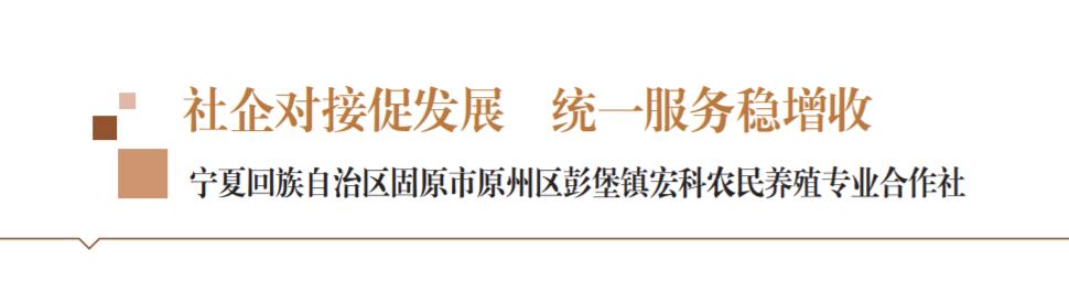 社企对接促发展统一服务稳增收——宁夏回族自治区固原市原州区彭堡镇宏科农民养殖专业合作社