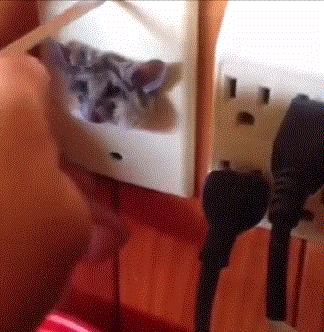 送命题女生回答问题,女朋友难产送命题