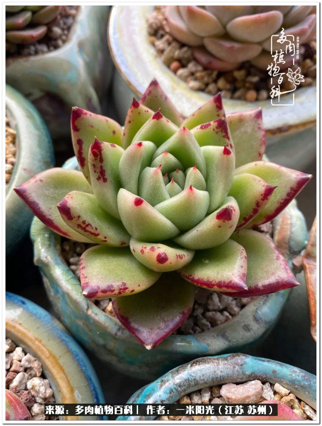 幸福就是珍惜当下所拥有的,珍惜当下所拥有的才是幸福的