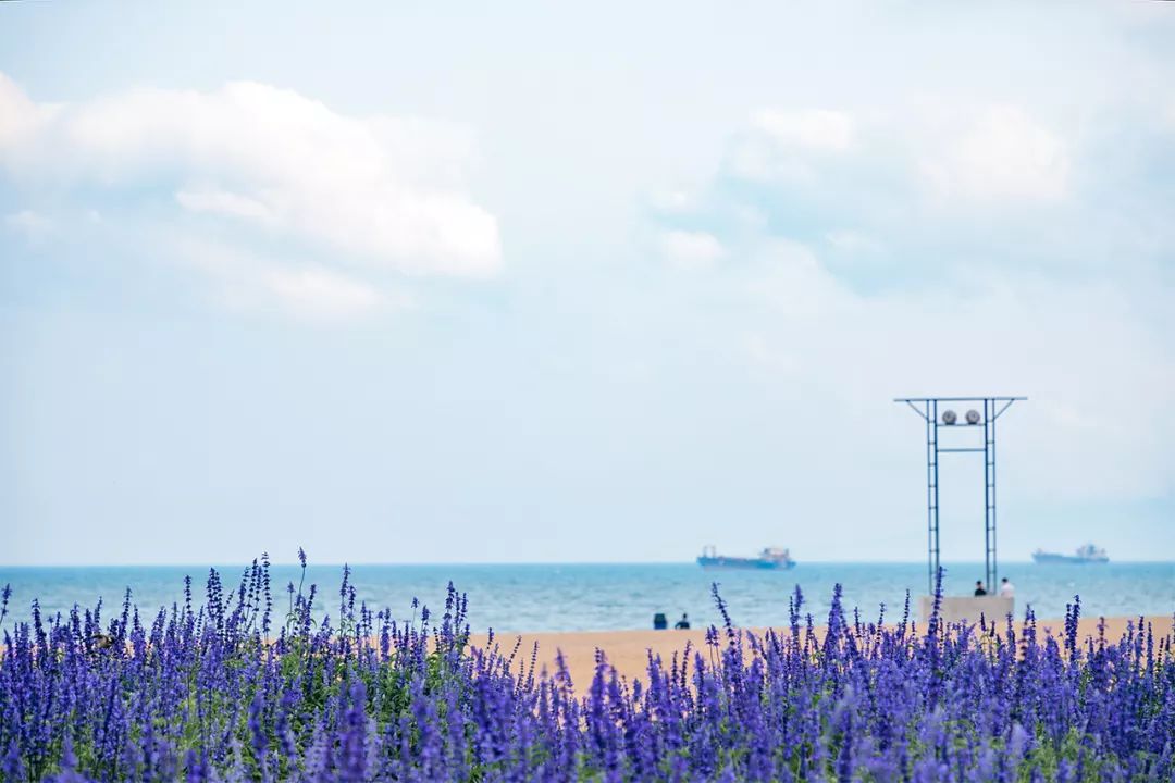 深圳有特色的旅游地,广东深圳特色风景