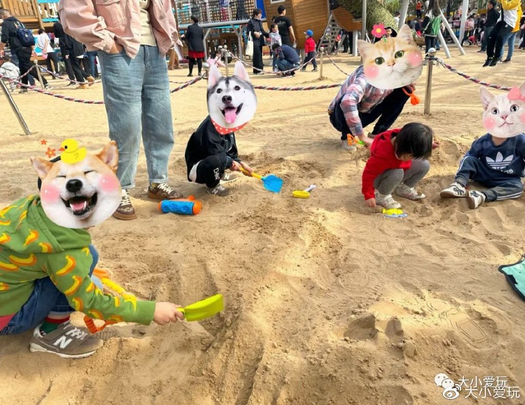 带娃赶海地点推荐去哪里,带孩子海边赶海3日游攻略