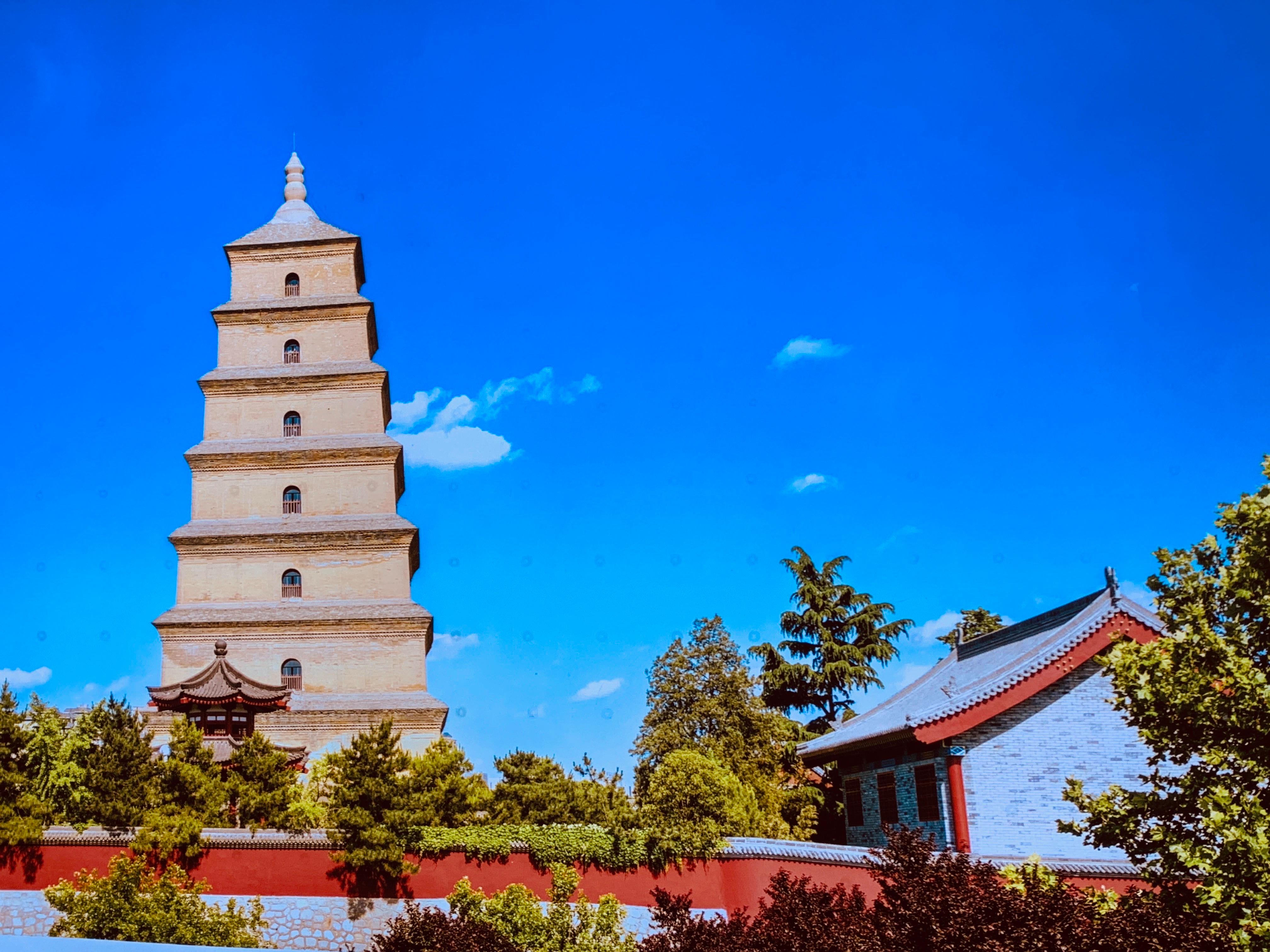 西安跟团四日游价格表最新,西安旅游团跟团价格多少