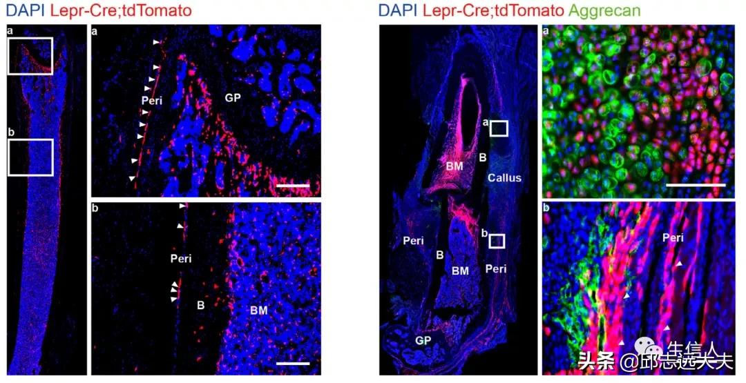 单细胞测序干湿结合,单细胞测序数据分析教程
