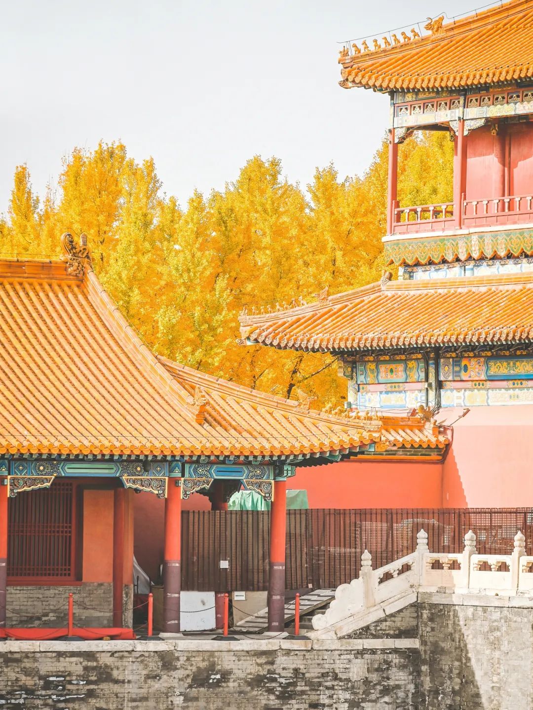 一入秋北京就变成了北平原文,一入秋北京就成了北平是谁说的