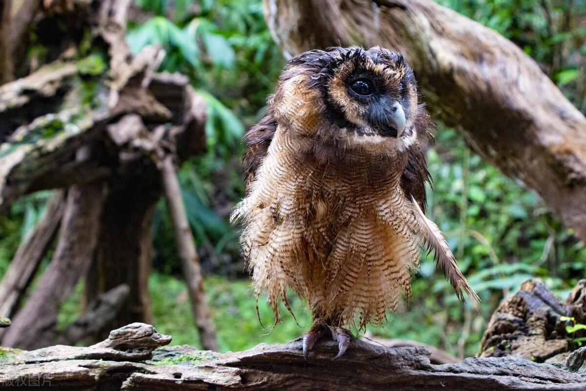 夏季旅游推荐3-4天游,夏天旅游攻略国内推荐3到4天
